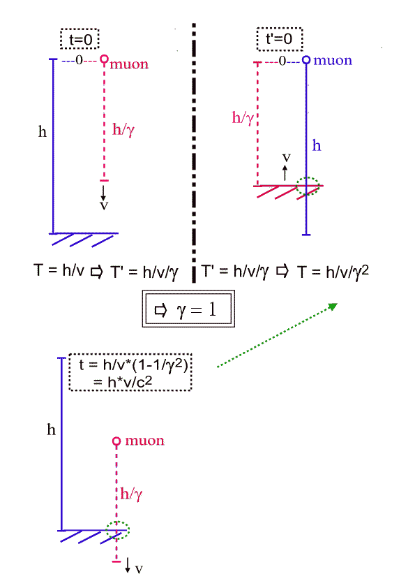 muon time dilation paradox